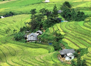 Vietnam 5D/6N (Da Nang – Hoi An – Ho Chi Minh)